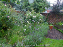 2010-08-15 16h07m34s P1380388k.jpg