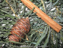 Konifere Adventskranz