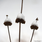 Abstraktion mit Schnee 1