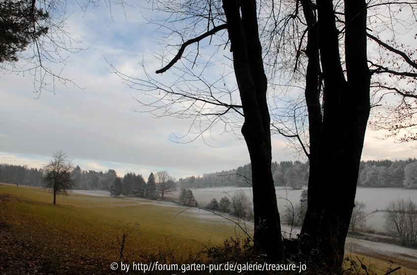 Odenwald 2