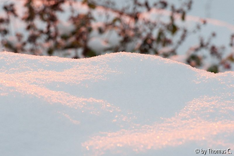 Morgenlicht auf Schnee