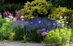 Gravel Garden Beth 3