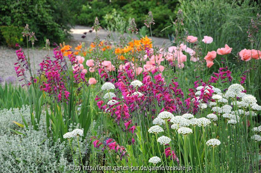 Gravel Garden Beth 5