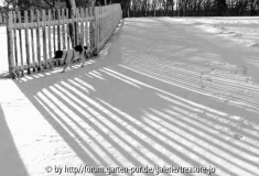 SW Schatten