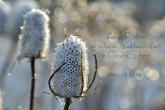 Wunderschöne Weihnachten