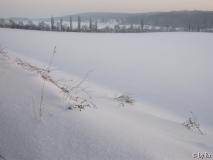 Kalte Landschaft