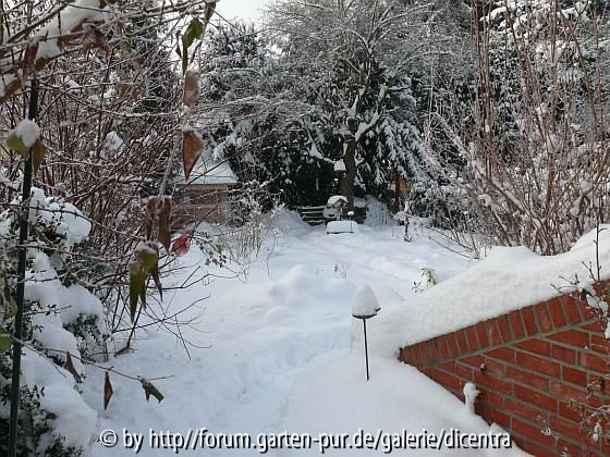 Schnee, Schnee, Schnee
