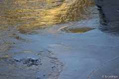 goldenes licht im eis1