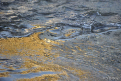 gold im wasser