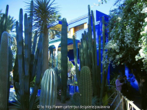 Le Jardin Majorelle 1