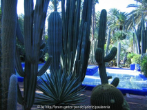 Le Jardin Majorelle 3