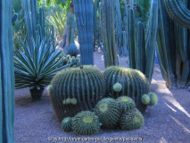 Le Jardin Majorelle 4