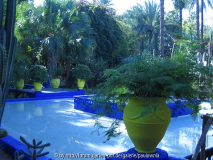 Le Jardin Majorelle 5