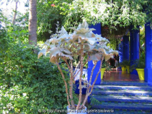 Le Jardin Majorelle 8