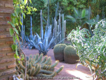 Le Jardin Majorelle 11