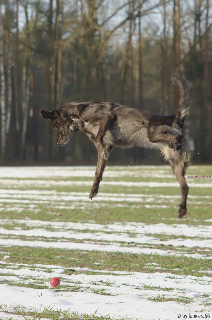 Kira und der Ball