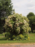 ghislaine de feligonde