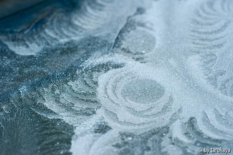 eisblume