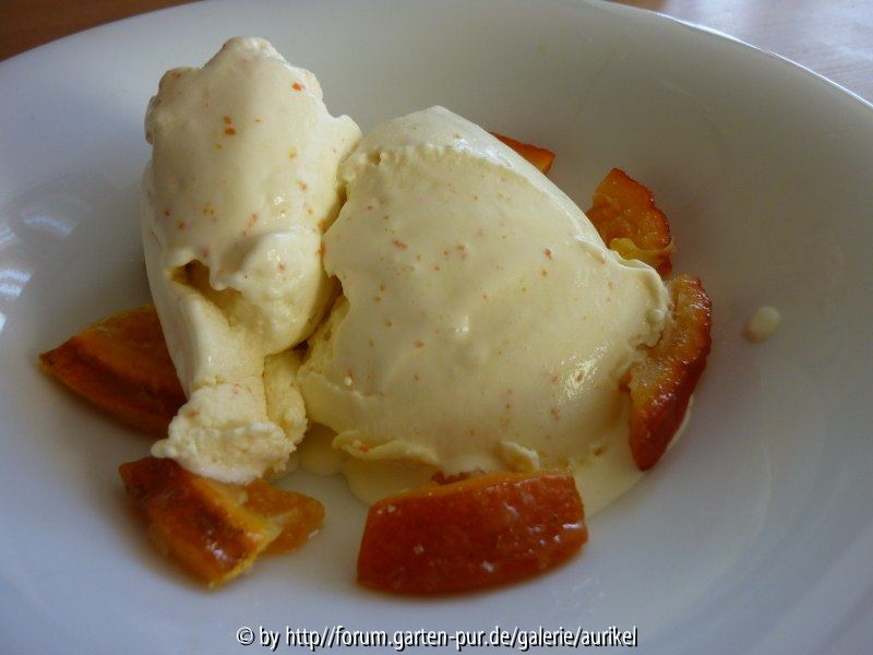 Mandarinenparfait angerichtet
