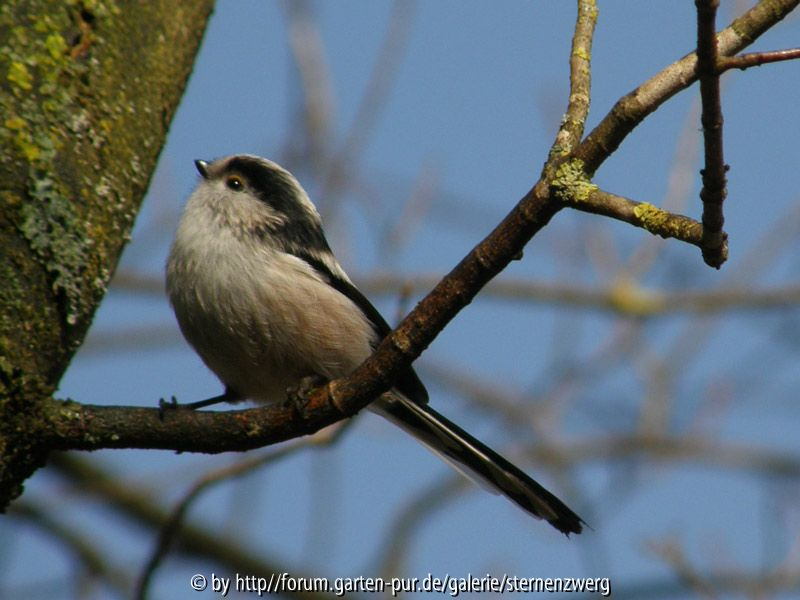 Iso 50, 1/400sec, f/4.20, 69.50 Bel.kor.0.70