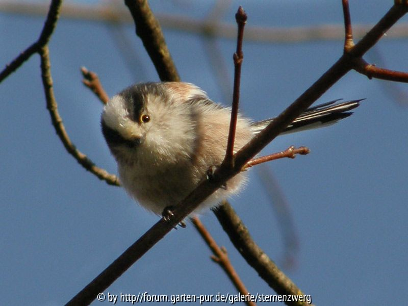 Iso 50, 1/500sec, f/4.20, 69.50mm, Bel.kor.-0.70