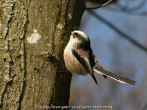 Iso 64, 1/500sec, f/4.50, 84.20, Bel.kor.-0.70