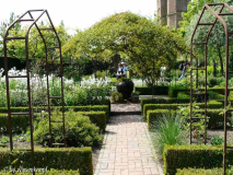 Sissinghurst: Weißer Garten