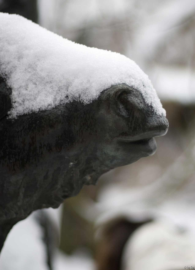 Esel Detail