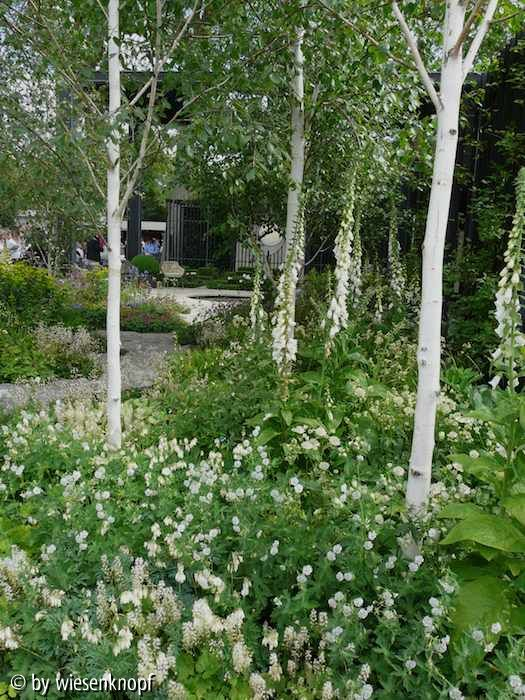 CFSH: weißer Garten