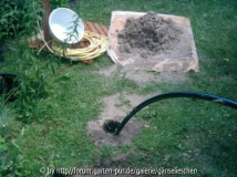 Nach dem Spülen