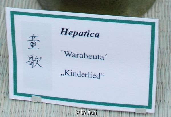 HepSchild