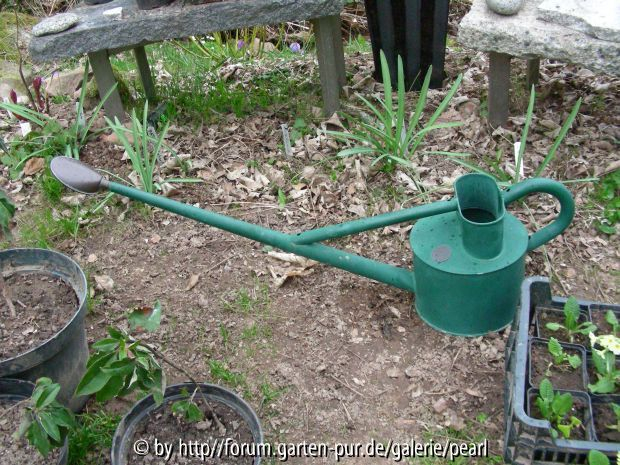 Professional Long Reach Can, Haws