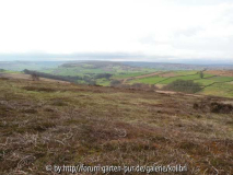 Moors4