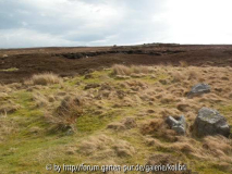 Moors6