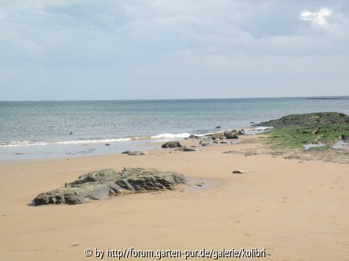 Strand v. Redcar