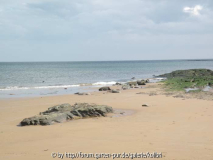 Strand v. Redcar