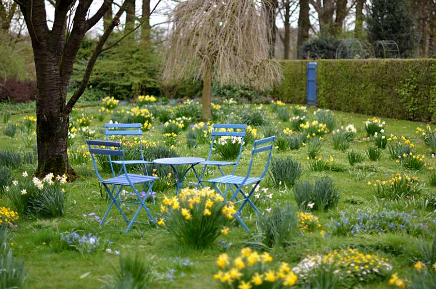 Frühlingswiese de Boschhoeve
