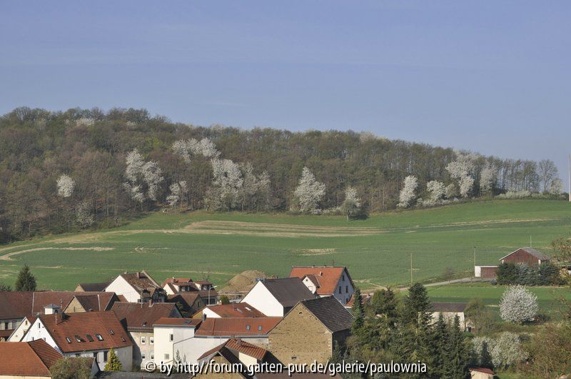 gartenausblick 2