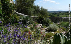 garten 11-04-16.jpg