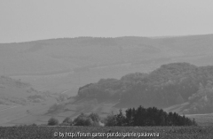 Morgendunst