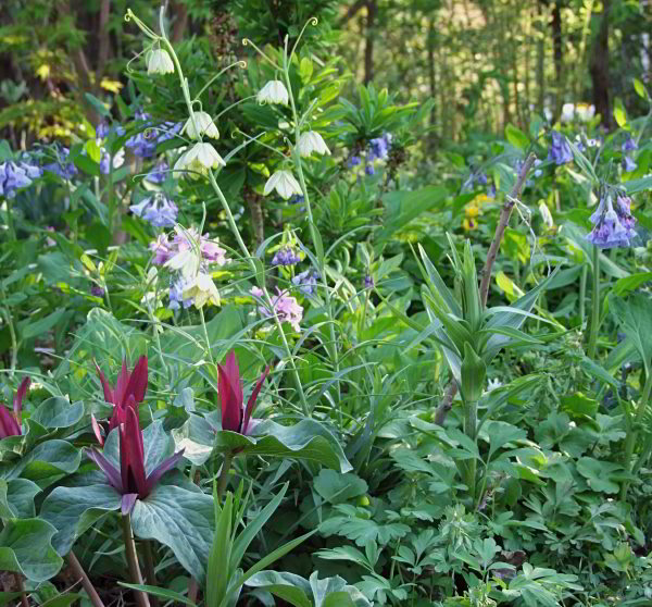 Frühling2011