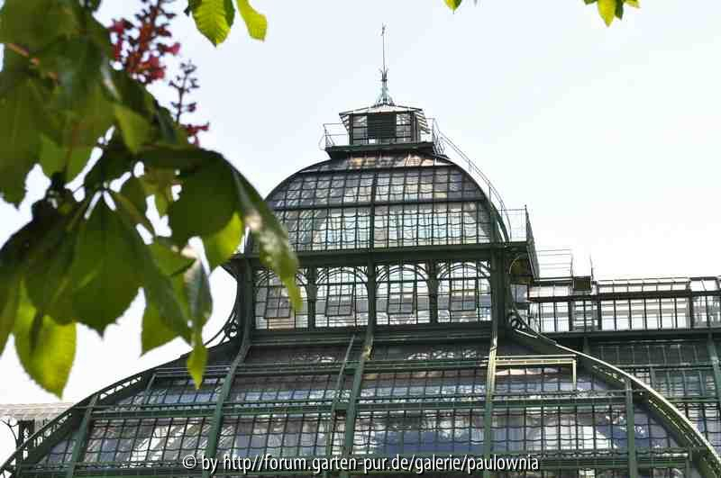 Schönbrunn 3