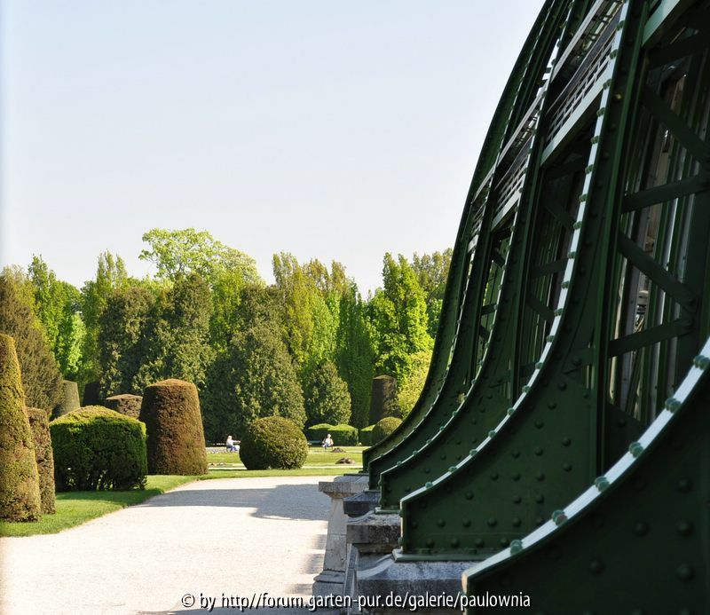 Schönbrunn 1