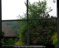 küchenfenster links.jpg