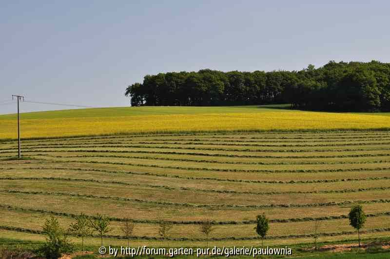 Landschaft 2