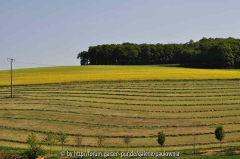 Landschaft 2