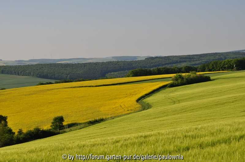 Landschaft3