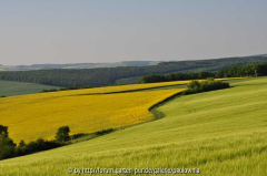 Landschaft3