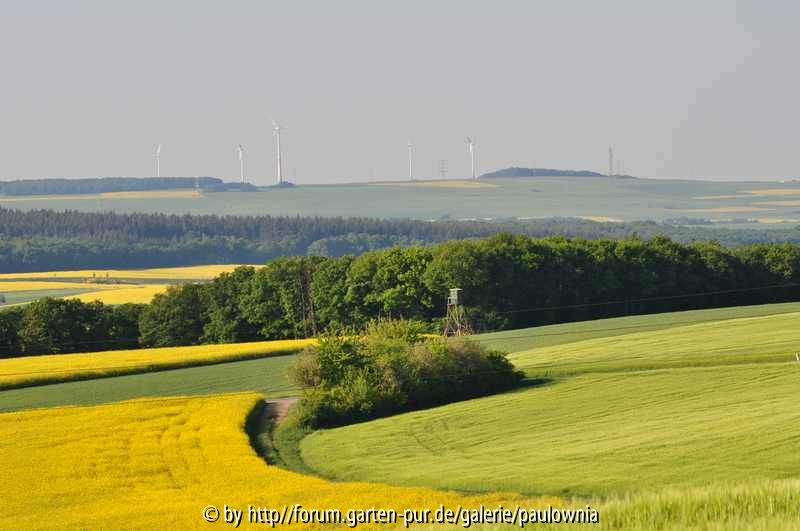 Landschaft 4