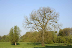 Beispiel 3